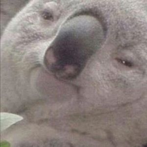 Meet your Posher, Reynaldo